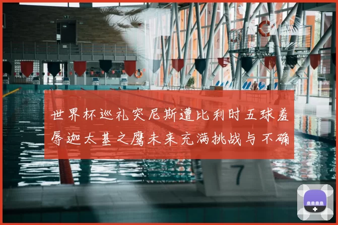 世界杯巡礼突尼斯遭比利时五球羞辱迦太基之鹰未来充满挑战与不确定性