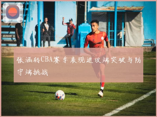 张涵钧CBA赛季表现进攻端突破与防守端挑战