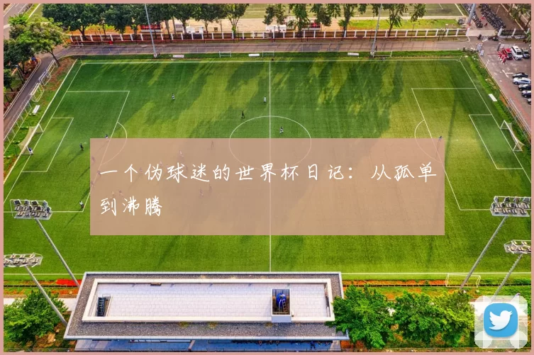 一个伪球迷的世界杯日记：从孤单到沸腾