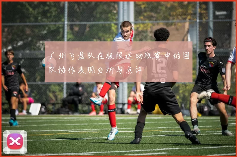 广州飞盘队在极限运动联赛中的团队协作表现分析与点评