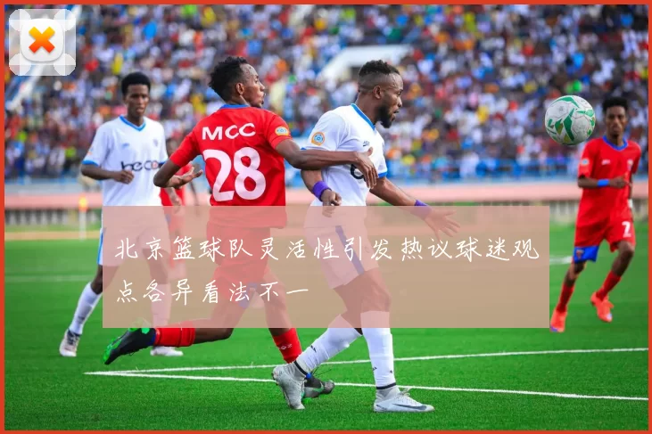 北京篮球队灵活性引发热议球迷观点各异看法不一