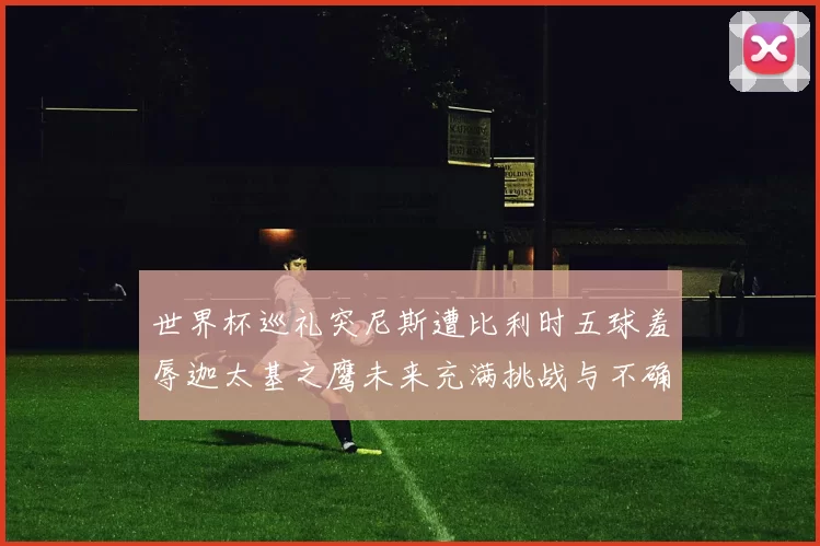 世界杯巡礼突尼斯遭比利时五球羞辱迦太基之鹰未来充满挑战与不确定性