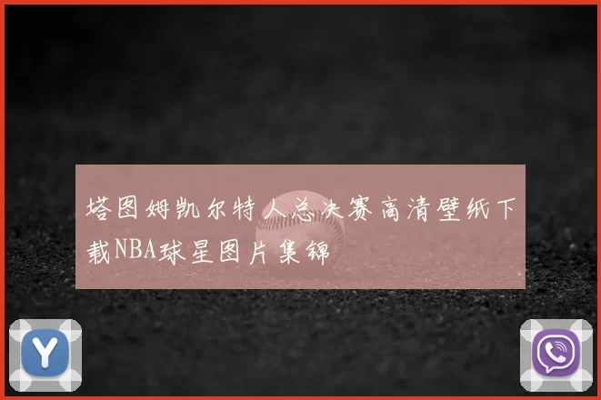塔图姆凯尔特人总决赛高清壁纸下载NBA球星图片集锦