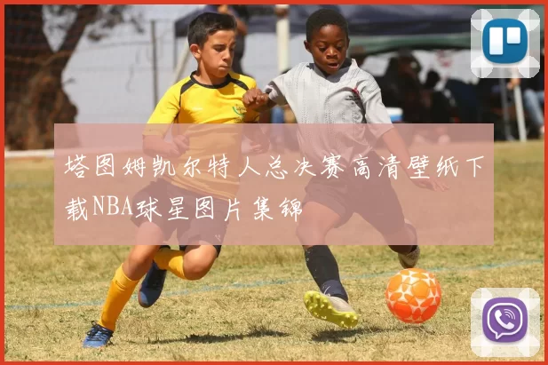塔图姆凯尔特人总决赛高清壁纸下载NBA球星图片集锦