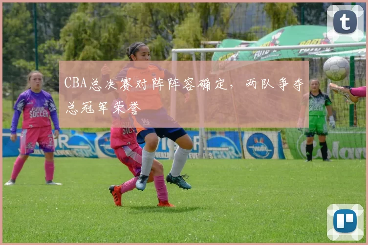 CBA总决赛对阵阵容确定，两队争夺总冠军荣誉