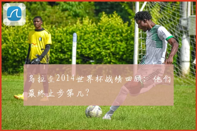 乌拉圭2014世界杯战绩回顾:他们最终止步第几?