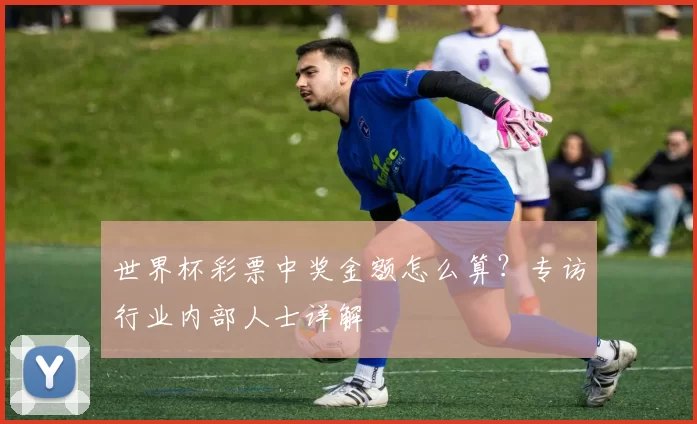 世界杯彩票中奖金额怎么算？专访行业内部人士详解