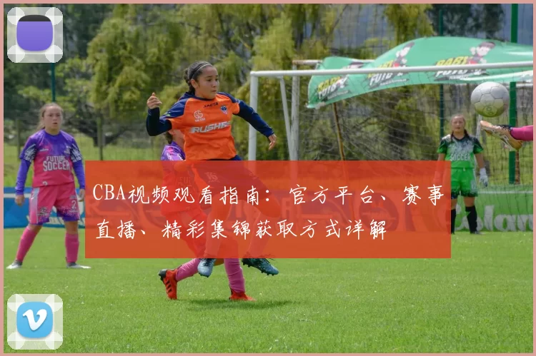 CBA视频观看指南:官方平台、赛事直播、精彩集锦获取方式详解