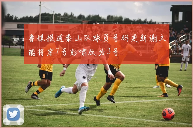 鲁媒报道泰山队球员号码更新谢文能将穿7号彭啸改为3号